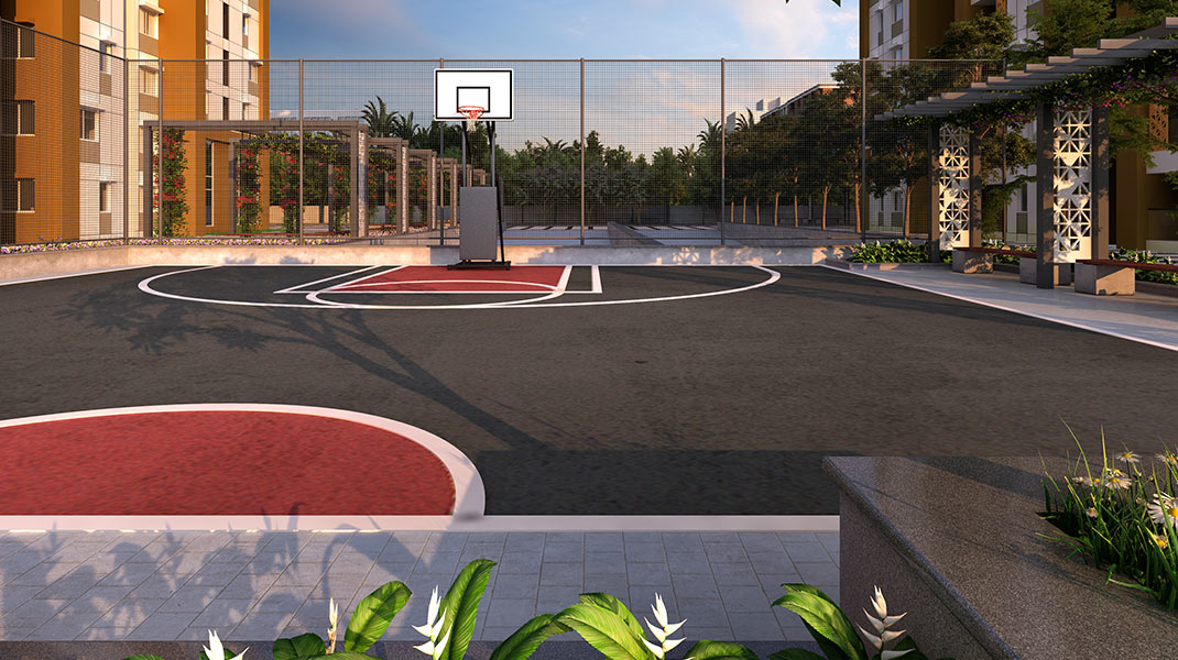 Half Basketball Court
