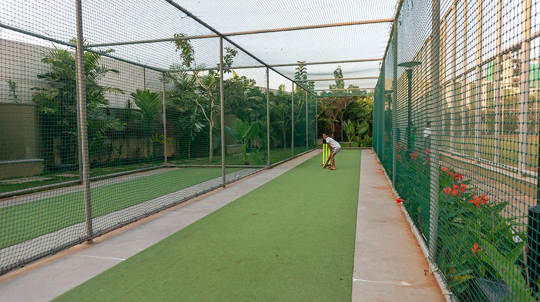 Cricket Nets